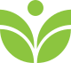 Leaf-logo